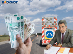 Судья, принявшая резонансное решение по делу «грузовой мафии», уходит в отставку в Воронеже 