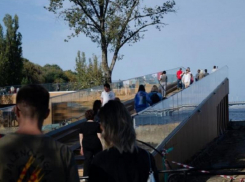 Мэрия разорвала контракт с победившим подрядчиком на стройку фиджитал-центра в Воронеже