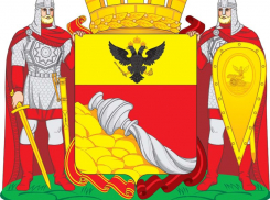 Нынешние флаг и герб Воронежа власти утвердили 17 лет назад