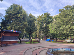 В парке Дурова мэрия уничтожит четверть больших деревьев под выборы