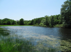 В Каширском районе рыбак нашел склад боеприпасов