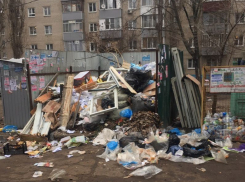О перманентном мусорном апокалипсисе сообщили воронежцы с левого берега