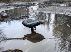 Самое эпичное место для «рыбалки» показали в Воронеже