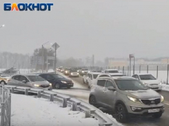 Петицию против изменений движения в Берёзовой роще создали воронежцы