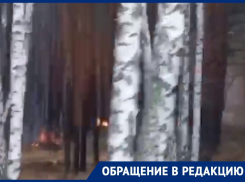 Массовые поджоги леса записали на видео в воронежской Отрожке