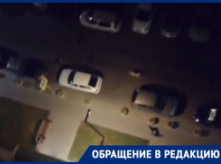 «И так каждую ночь»: собачий кураж попал на видео в Воронеже 