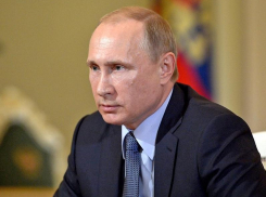 Президент подписал введение налога для самозанятых в Воронежской области