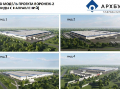 Более 7 млрд рублей вложат в завод гофрокартона и гофроупаковки под Воронежем