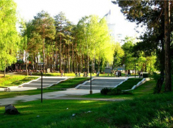 Воронежский парк признан одним из лучших объектов за пределами МКАД