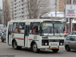 Мэрия Воронежа намерена вывести маршрутки из тени