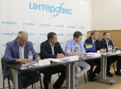 Партии РФ – это лебедь, рак и щука, - координатор воронежской ЛДПР Павел Большов