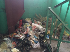 Воронежцы добровольно похоронили себя в мусоре на «ваях»