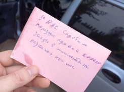 Поступок незнакомца приятно удивил местную жительницу под Воронежем