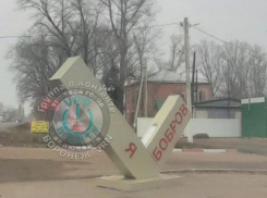 Городу Боброву «спилили сердце» в Воронежской области