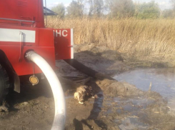 Танковые турбины спасают Воронеж от ужасного задымления