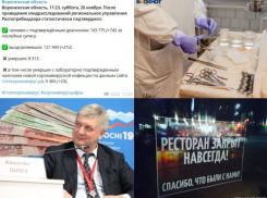 Коронавирус в Воронеже 20 ноября: +64 смерти, гусевские траты и закрытый ресторан из-за QR-кодов