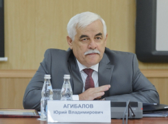 Воронежский вице-губернатор Агибалов  - грамотный служака или «сам себе мафия»