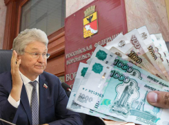 Расходы на содержание городской Думы оказались в 10 раз больше, чем на все коммунальное хозяйство Воронежа