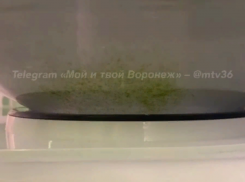 «Живая» вода в поликлинике возмутила жителей Воронежа