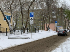 Платные парковки нарвались на неустойку, не услышав мэрию Воронежа