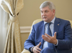 Губернатор Гусев решает, отправлять ли воронежских школьников на дистанционное обучение