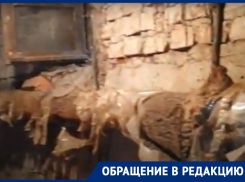 Канализационные воды топят подвалы трех домов в Воронеже