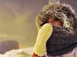 Арктический воздух принесет в Воронеж 22-градусные морозы