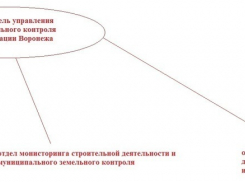 Алексей Антиликаторов представил новую структуру контрольного «монстра» в администрации Воронежа 