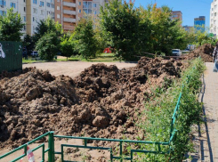 Грязная дорога к знаниям встала на пути у воронежских школьников