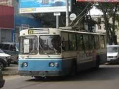 В Воронеже водитель троллейбуса №17 был психбольным 