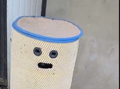 Веселому мусорному баку искренне удивился воронежец