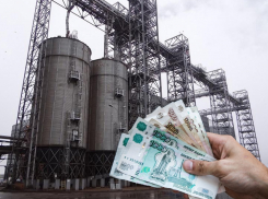 Более 153 млн рублей получит иностранная компания из бюджета Воронежской области