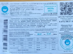 О странных уведомлениях, вызывающих волнение, рассказали воронежцы 