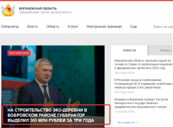 Элементы культа личности Александра Гусева замечены на сайте воронежского правительства  