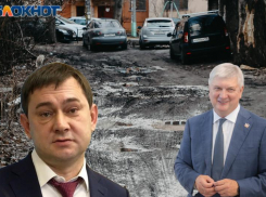 Гусев и Нетесов поздравили с мизерным результатом воронежских дорожников 