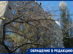 Жильцы многоэтажки месяц воюют за отопление в Воронеже 