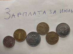 Мы бедны: неутешительный приговор воронежским семьям вынес замер их кошелька
