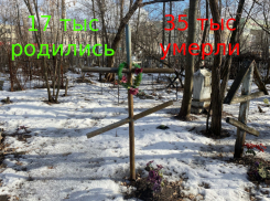 Как в 2022 году вымирала Воронежская область