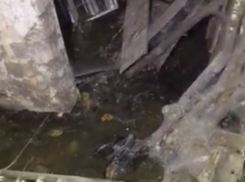 Воронежцы сообщили о затопления подвала фекалиями на фоне распоряжения о подготовке укрытий