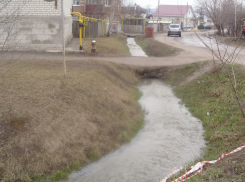 В Борисоглебске устранили последствия экологического бедствия и наказали виновных