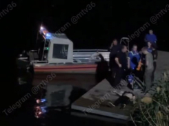 Выловили без сознания: воронежцы сообщают о происшествии на водохранилище