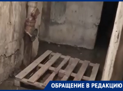 «Меня сейчас вырвет», – воронежцы рискнули здоровьем, чтобы снять на видео тошнотворный подвал своего дома