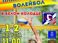 В Воронеже все желающие смогут принять участие в соревнованиях по пляжному волейболу