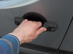 В Подгоринском районе автомобильный вор прятался от сотрудников полиции в кустах