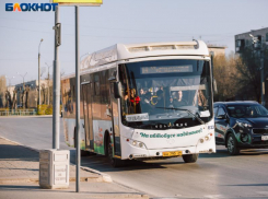 Опубликованы новые схемы движения автобусов взамен ликвидируемых маршруток в Воронеже