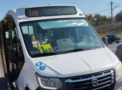 Хорошее настроение на целый день: очень культурный водитель автобуса поразил воронежцев