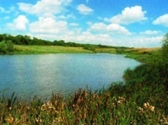 В Воронежской области появились два новых заказника