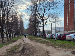 Лютое бездорожье на прекрасной аллее заметили в Воронеже