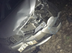 Забор помешал пьяному воронежцу скрыться от ночной погони на Машмете