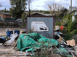 Более 50 млн рублей за несуществующие работы заплатили воронежские чиновники